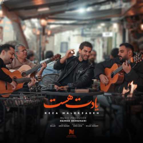 دانلود آهنگ رضا ملک زاده به نام یادت هست 