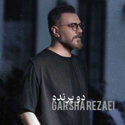 دانلود آهنگ گرشا رضایی به نام دو پرنده 