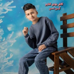آهنگ جدید آیدین احدی به نام کاش بودی کنارم
