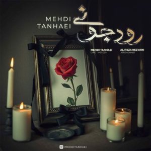 آهنگ جدید مهدی تنهایی به نام رود جونی