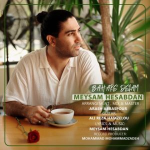 آهنگ جدید میثم حسابدان به نام بهار دلم