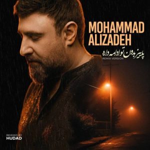 آهنگ جدید محمد علیزاده به نام ریمیکس پاییز بدون تو ادامه داره
